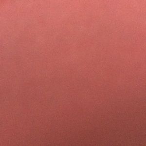 Meet your Posher, Cam